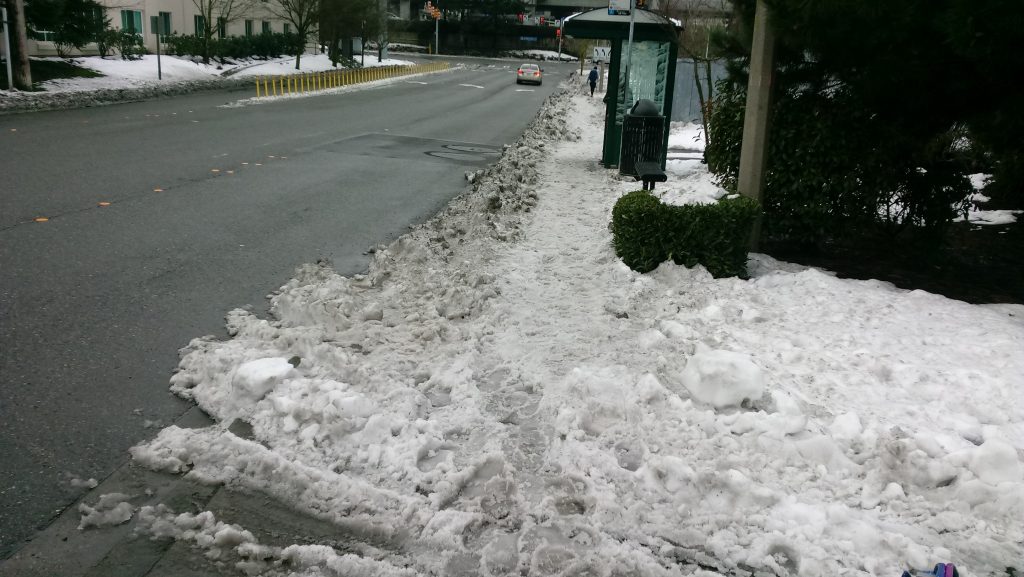 Bus stop completely engulfed by snow