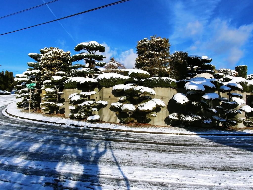 Topiary-Icing