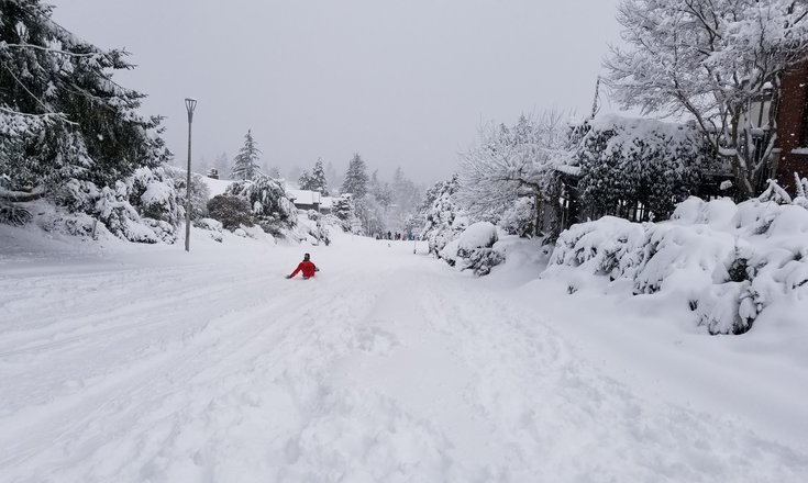 Toboggan!