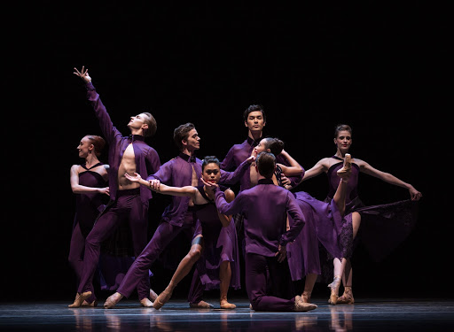 Bacchus-PNB-Directors-Choice-2019